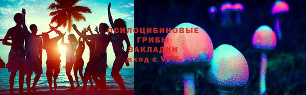стаф Алексин
