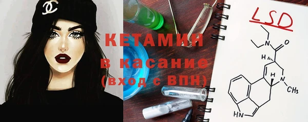 стаф Алексин