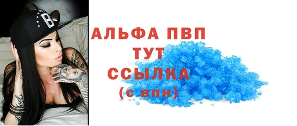 стаф Алексин