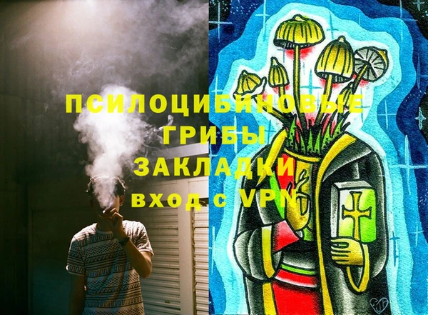 стаф Алексин
