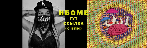 стаф Алексин