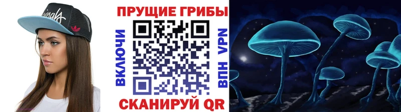 Псилоцибиновые грибы прущие грибы  Ивангород 